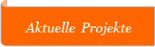 Aktuelle Projekte