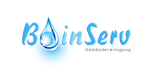 Binserv Bauer Industrie-Services