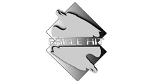 Eagle Hit Radschiener & Linhart OEG