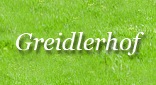 Apartment Greidlerhof